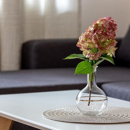 Violetos Lux Apartamentai2 드루스키닝카이 외부 사진
